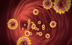 Kolesteroliarvot: Näin tulkitset kolesterolimittauksen tulokset