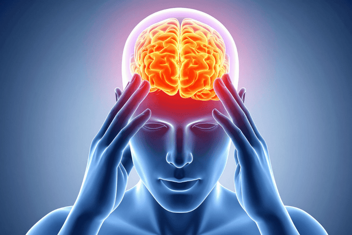 Kolesteroli ja aivot — Yllättävä yhteys, josta harva tietää